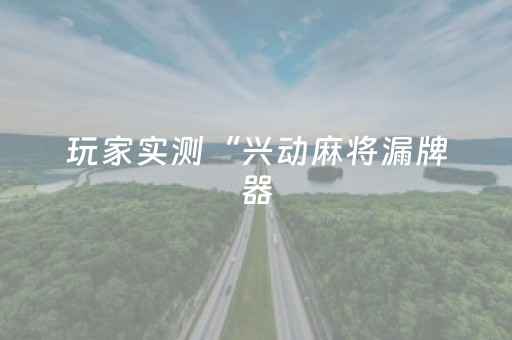 玩家实测“兴动麻将漏牌器（助赢神器通用版）