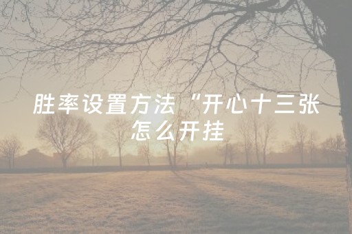 胜率设置方法“开心十三张怎么开挂（助赢神器通用版）