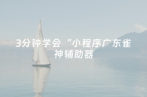 3分钟学会“小程序广东雀神辅助器（助赢神器通用版）
