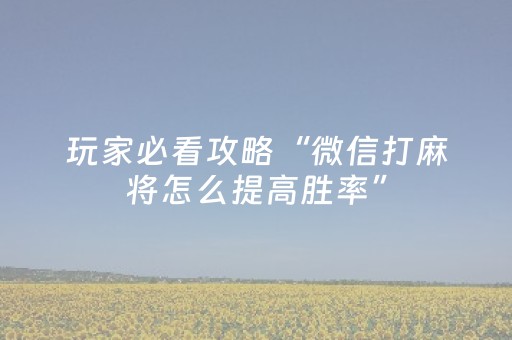 玩家必看攻略“微信打麻将怎么提高胜率”（详细透视教程）-哔哩哔哩