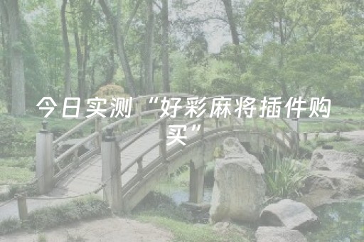 今日实测“好彩麻将插件购买”（详细开挂教程）-哔哩哔哩