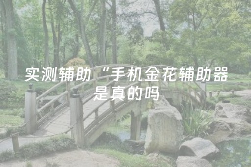 实测辅助“手机金花辅助器是真的吗（专用辅牌神器免安装）