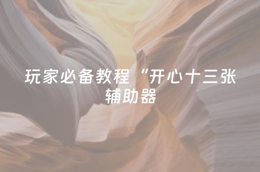 玩家必备教程“开心十三张辅助器（助赢神器通用版）
