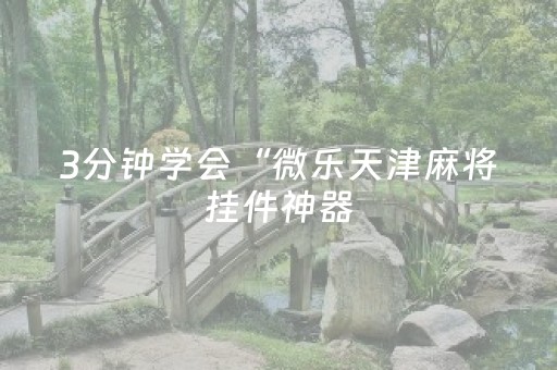 3分钟学会“微乐天津麻将挂件神器（专用辅牌神器免安装）