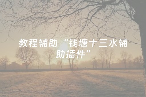 教程辅助“钱塘十三水辅助插件”（详细透视教程）-哔哩哔哩