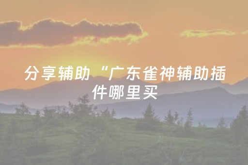 分享辅助“广东雀神辅助插件哪里买（专用辅牌神器免安装）