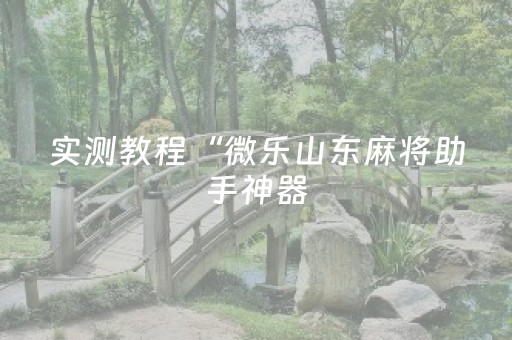 实测教程“微乐山东麻将助手神器（专用辅牌神器免安装）