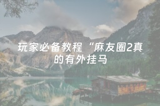 玩家必备教程“麻友圈2真的有外挂马（助赢神器通用版）