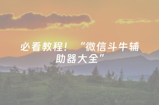 必看教程！“微信斗牛辅助器大全”（详细辅助教程）-哔哩哔哩