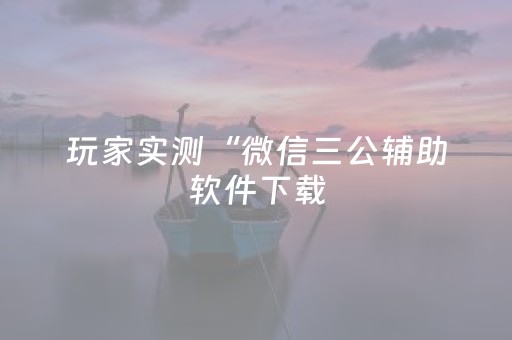 玩家实测“微信三公辅助软件下载（专用辅牌神器免安装）