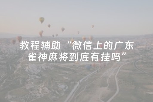 教程辅助“微信上的广东雀神麻将到底有挂吗”（详细透视教程）-哔哩哔哩