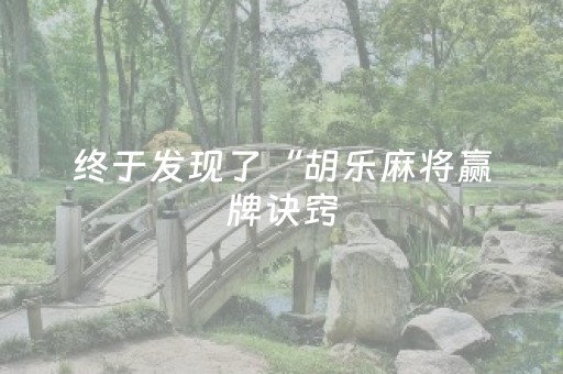 终于发现了“胡乐麻将赢牌诀窍（助赢神器通用版）