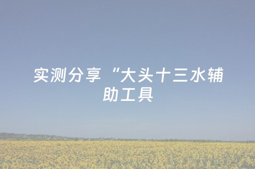 实测分享“大头十三水辅助工具（专用辅牌神器免安装）