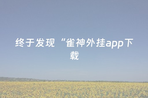 终于发现“雀神外挂app下载（专用辅牌神器免安装）
