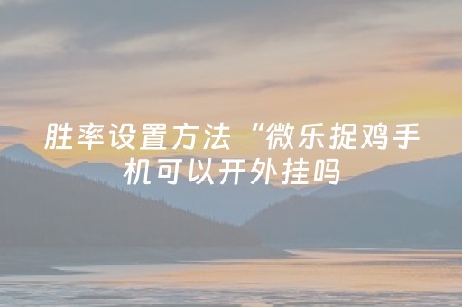 胜率设置方法“微乐捉鸡手机可以开外挂吗（助赢神器通用版）