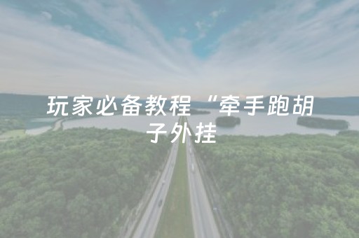 玩家必备教程“牵手跑胡子外挂（助赢神器通用版）