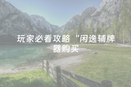 玩家必看攻略“闲逸辅牌器购买（专用辅牌神器免安装）