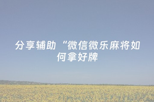 分享辅助“微信微乐麻将如何拿好牌（专用辅牌神器免安装）