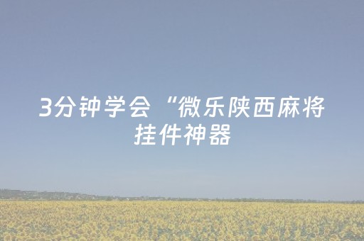 3分钟学会“微乐陕西麻将挂件神器（助赢神器通用版）