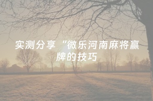 实测分享“微乐河南麻将赢牌的技巧（专用辅牌神器免安装）