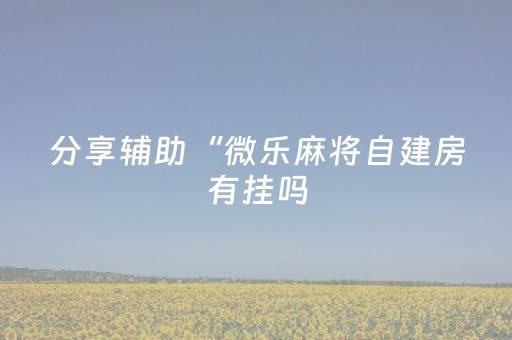 分享辅助“微乐麻将自建房有挂吗（专用辅牌神器免安装）