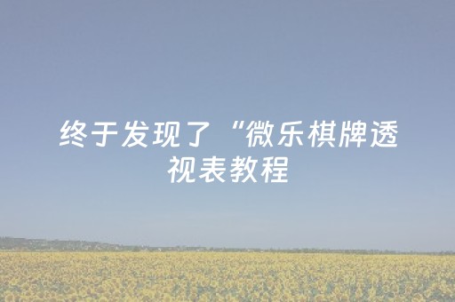 终于发现了“微乐棋牌透视表教程（助赢神器通用版）