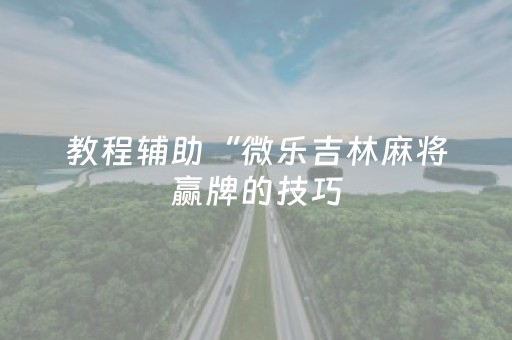 教程辅助“微乐吉林麻将赢牌的技巧（助赢神器通用版）