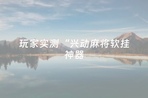 玩家实测“兴动麻将软挂神器（专用辅牌神器免安装）