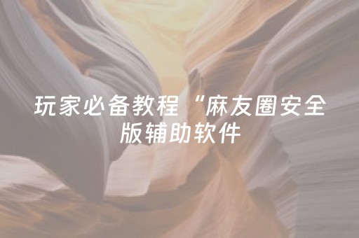 玩家必备教程“麻友圈安全版辅助软件（助赢神器通用版）