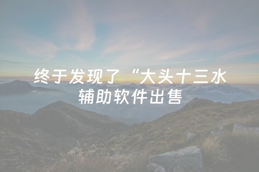 终于发现了“大头十三水辅助软件出售（助赢神器通用版）