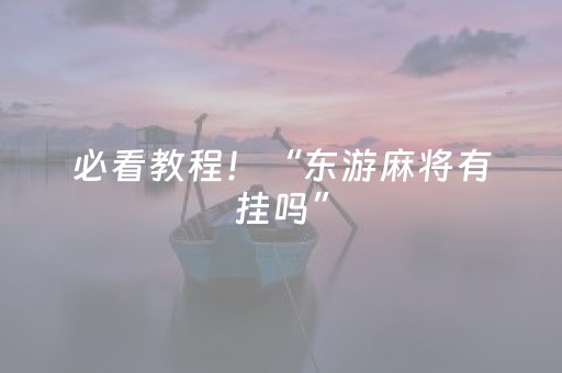 必看教程！“东游麻将有挂吗”（详细辅助教程）-哔哩哔哩