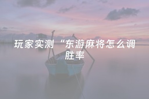 玩家必看攻略“手机打牌外挂怎么弄（专用辅牌神器免安装）