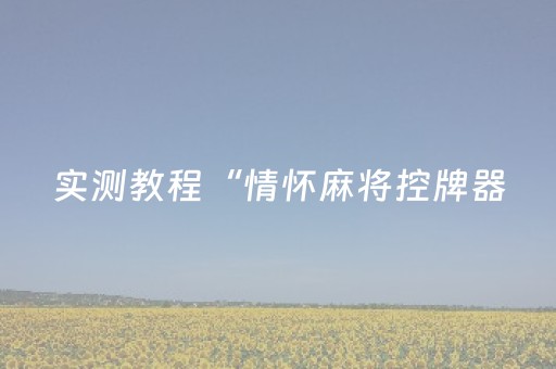 实测教程“情怀麻将控牌器（专用辅牌神器免安装）