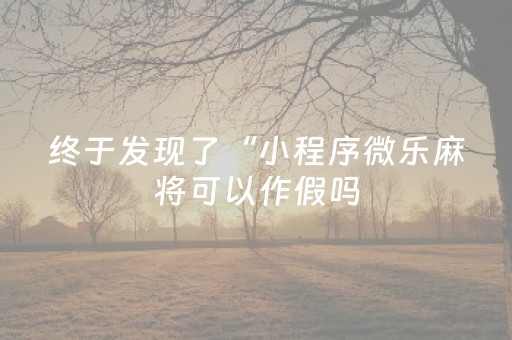 终于发现了“小程序微乐麻将可以作假吗（专用辅牌神器免安装）