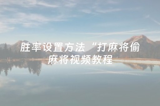 胜率设置方法“打麻将偷麻将视频教程（专用辅牌神器免安装）