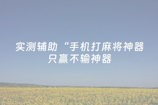 实测辅助“手机打麻将神器只赢不输神器（专用辅牌神器免安装）