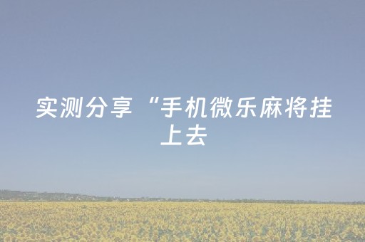 实测分享“手机微乐麻将挂上去（专用辅牌神器免安装）