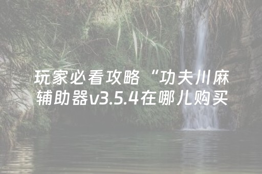 玩家必看攻略“功夫川麻辅助器v3.5.4在哪儿购买（助赢神器通用版）