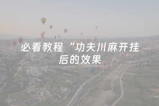 必看教程“功夫川麻开挂后的效果（专用辅牌神器免安装）