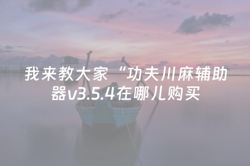 我来教大家“功夫川麻辅助器v3.5.4在哪儿购买（助赢神器通用版）