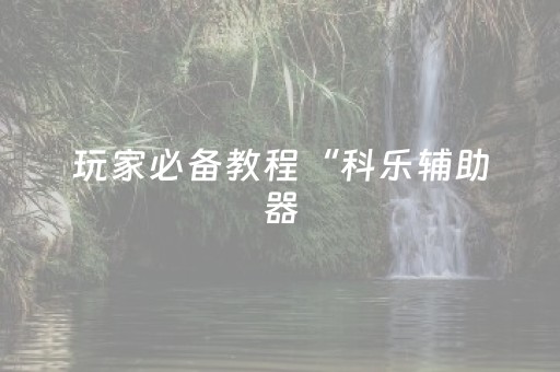 玩家必备教程“科乐辅助器（专用辅牌神器免安装）