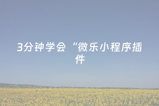 3分钟学会“微乐小程序插件（助赢神器通用版）