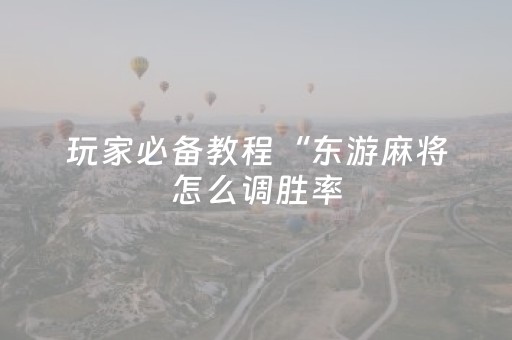 玩家必备教程“东游麻将怎么调胜率（助赢神器通用版）