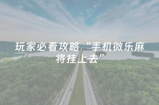 玩家必看攻略“手机微乐麻将挂上去”（详细透视教程）-哔哩哔哩