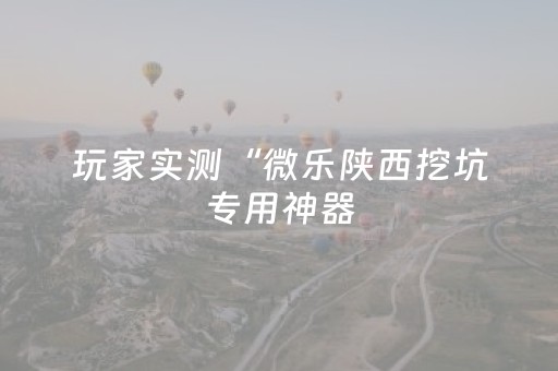 玩家实测“微乐陕西挖坑专用神器（助赢神器通用版）