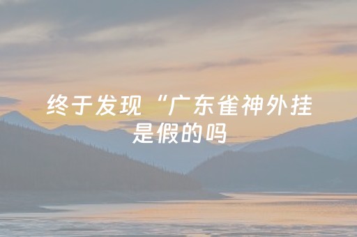 终于发现“广东雀神外挂是假的吗（专用辅牌神器免安装）
