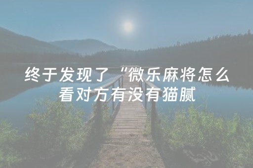 终于发现了“微乐麻将怎么看对方有没有猫腻（专用辅牌神器免安装）