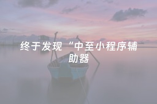 终于发现“中至小程序辅助器（助赢神器通用版）