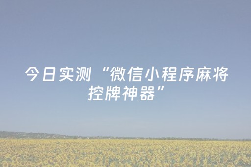 今日实测“微信小程序麻将控牌神器”（详细辅助教程）-哔哩哔哩
