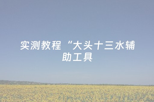 实测教程“大头十三水辅助工具（助赢神器通用版）